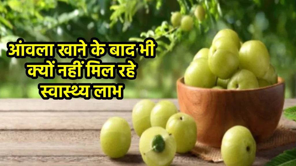 आंवला खाने के बाद भी क्यों नहीं मिल रहे स्वास्थ्य लाभ