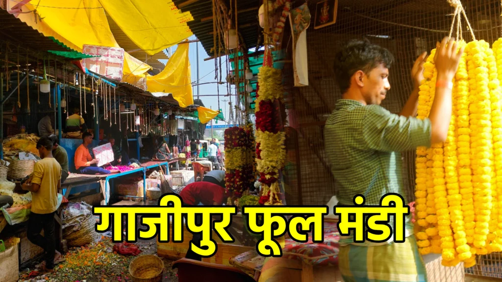 गाजीपुर फूल मंडी: खुशबुओं और रंगों से भरी अनोखी दुनिया