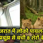 गुजरात में लोको पायलट की सूझबूझ से बची 8 शेरों की जान