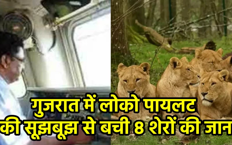 गुजरात में लोको पायलट की सूझबूझ से बची 8 शेरों की जान