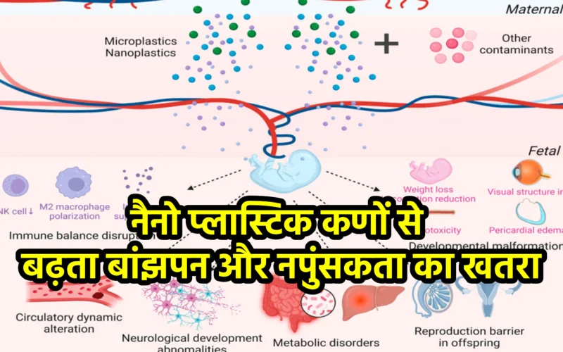 नैनो प्लास्टिक कणों से बढ़ता बांझपन और नपुंसकता का खतरा