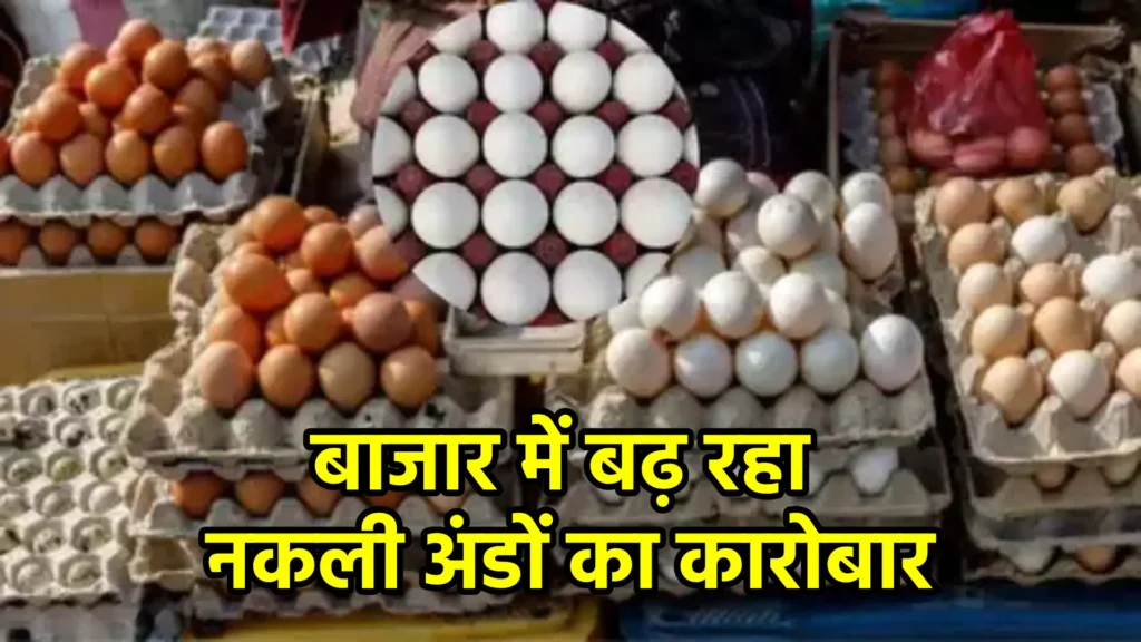 बाजार में बढ़ रहा नकली अंडों का कारोबार