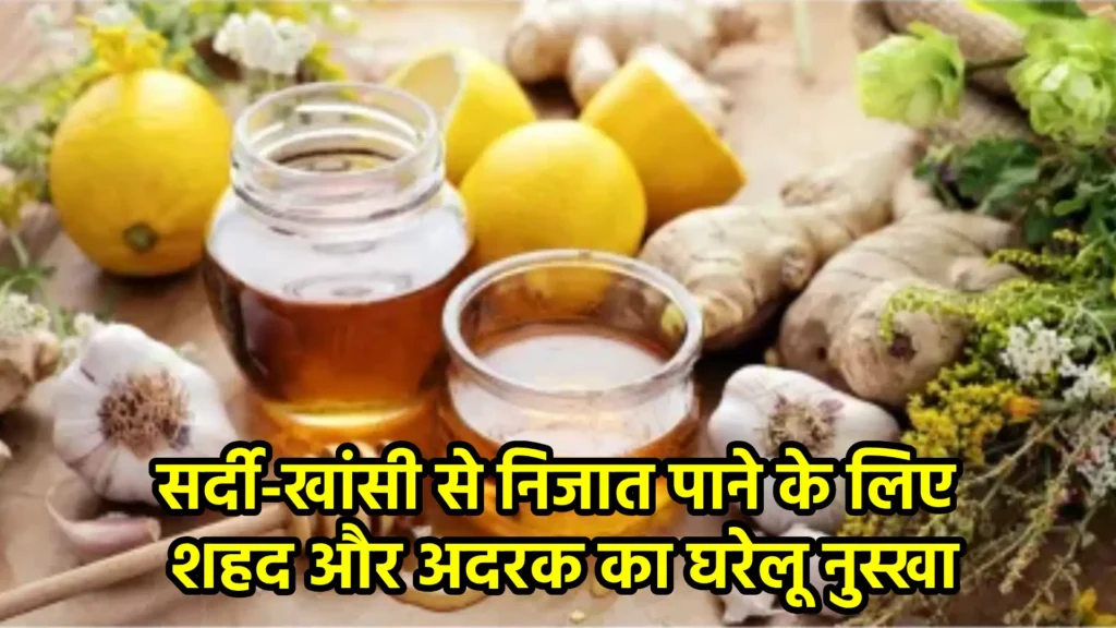 सर्दी-खांसी से निजात पाने के लिए शहद और अदरक का घरेलू नुस्खा