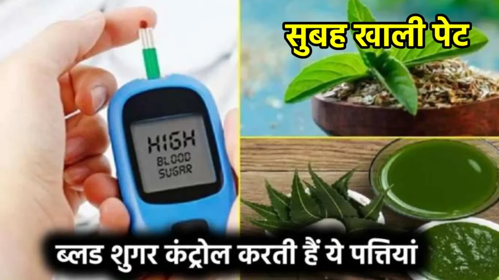 सुबह खाली पेट ब्लड शुगर कंट्रोल के लिए यह हरा पत्ता है कारगर