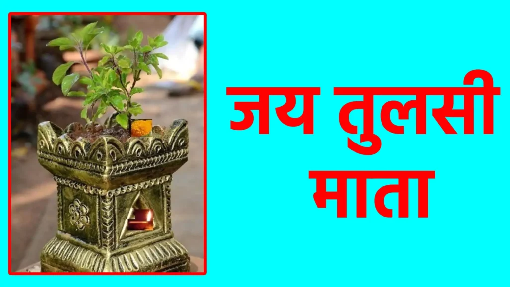 जय तुलसी माता