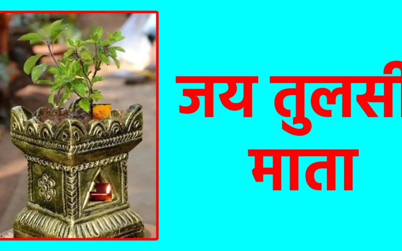 जय तुलसी माता