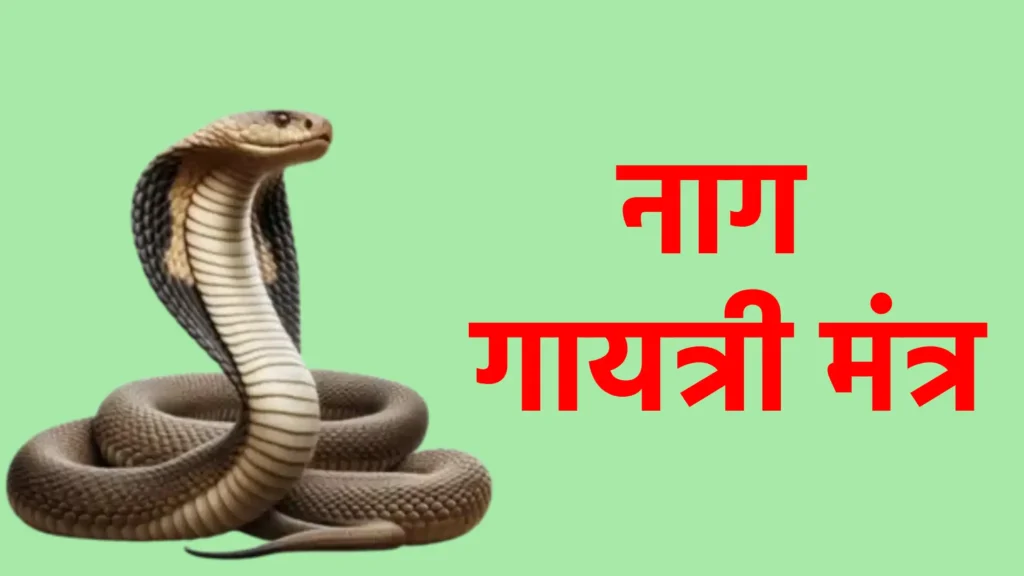 नाग गायत्री मंत्र