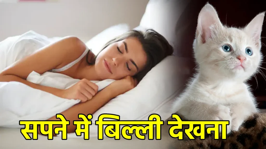 सपने में बिल्ली देखना