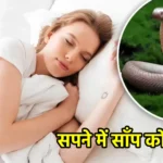 सपने में साँप को देखना