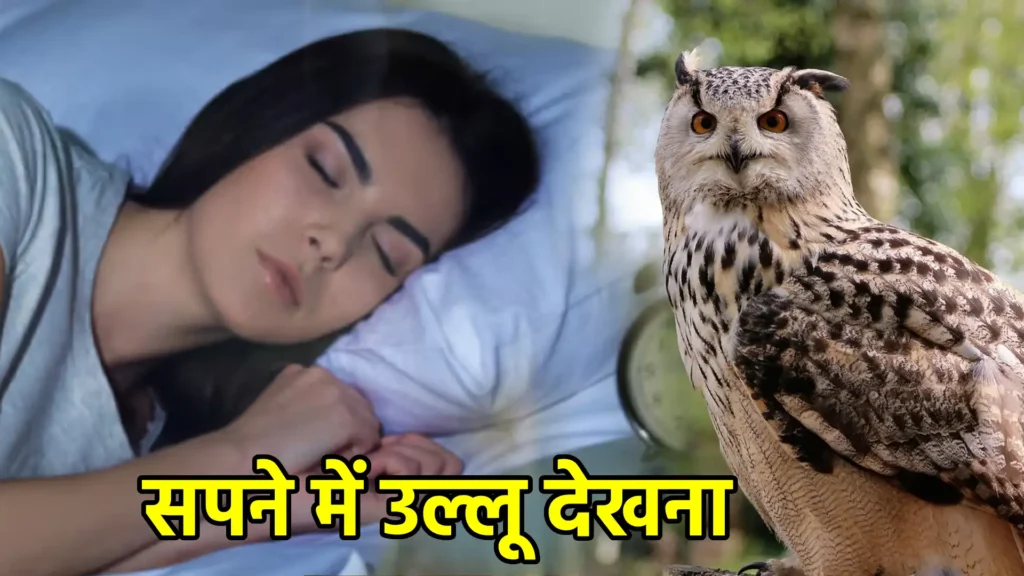 सपने में उल्लू देखना