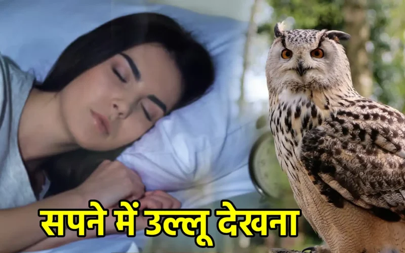 सपने में उल्लू देखना