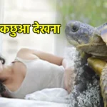 सपने में कछुआ देखना
