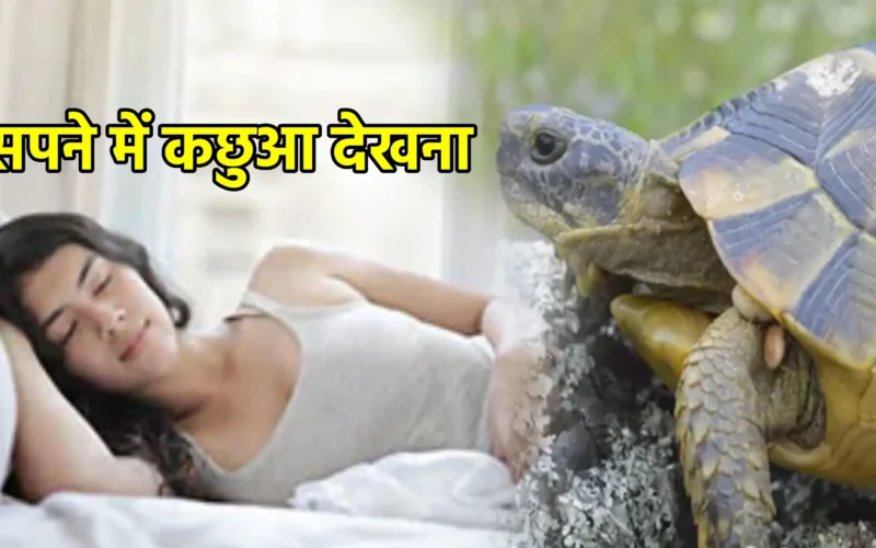 सपने में कछुआ देखना