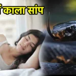सपने में काला सांप देखना
