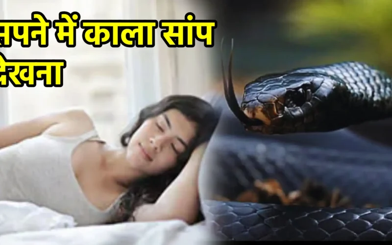 सपने में काला सांप देखना