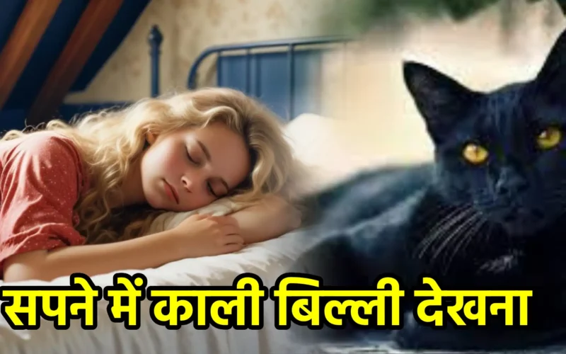 सपने में काली बिल्ली देखना