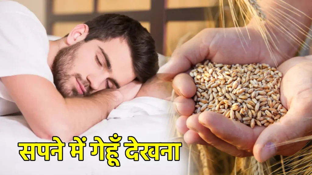 सपने में गेहूँ देखना