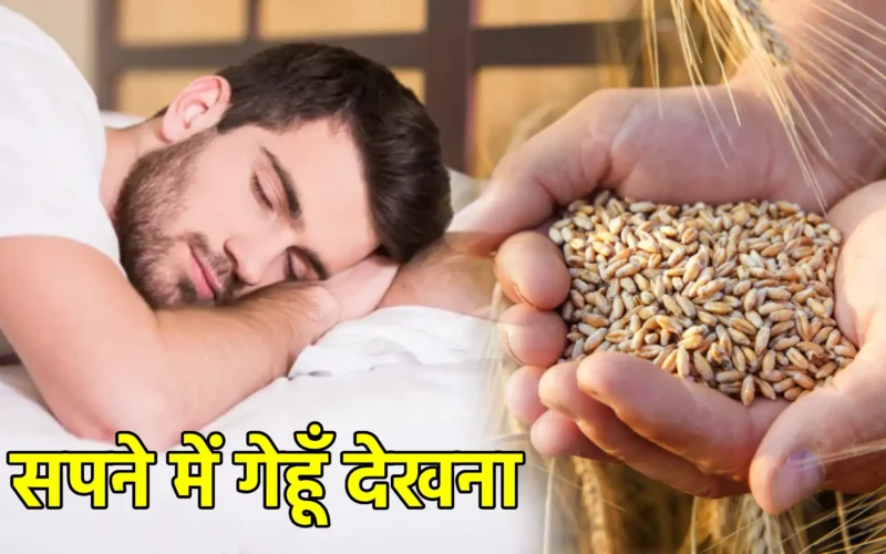 सपने में गेहूँ देखना
