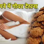 सपने में गोबर देखना