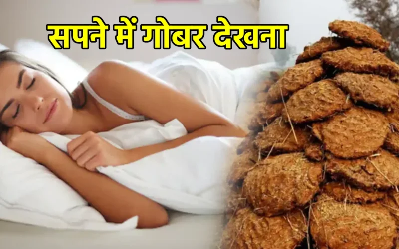 सपने में गोबर देखना
