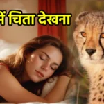 सपने में चिता देखना