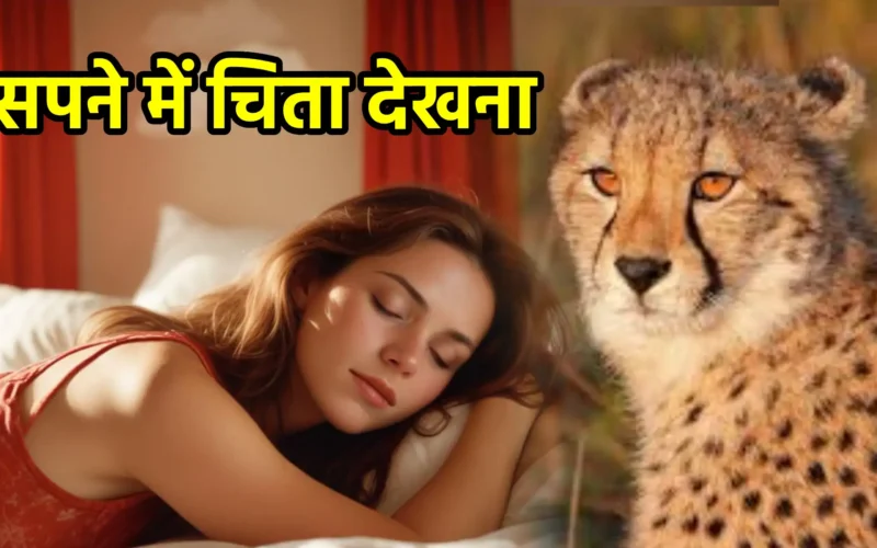 सपने में चिता देखना