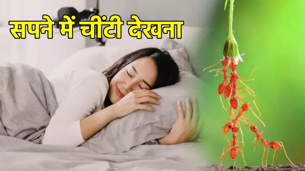 सपने में चींटी देखना