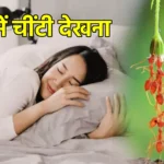 सपने में चींटी देखना