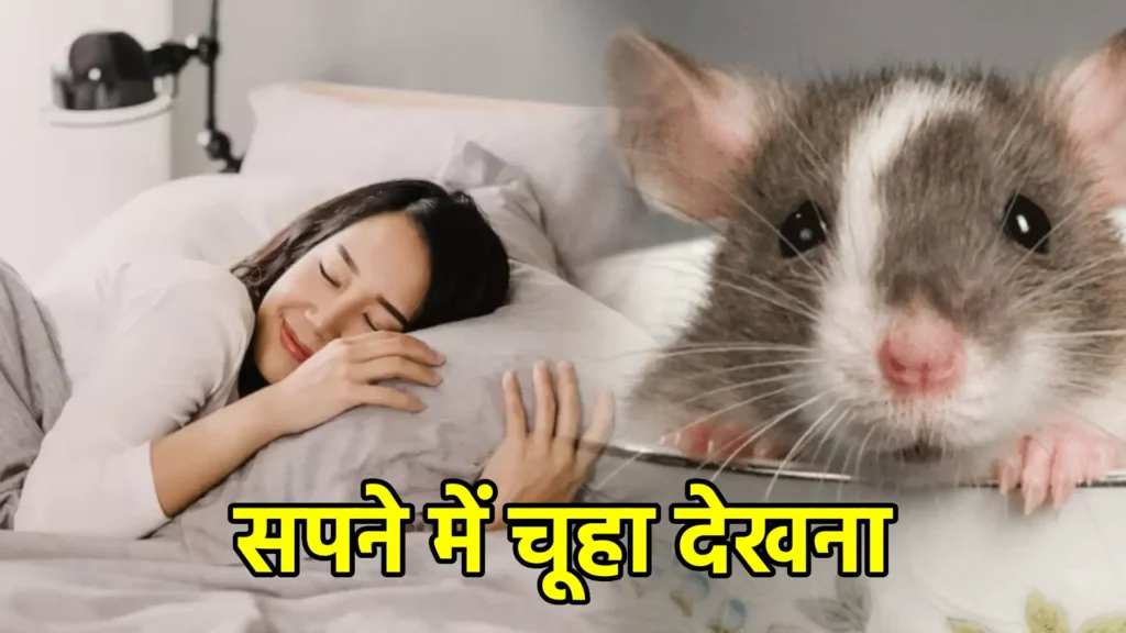 सपने में चूहा देखना