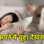 सपने में चूहा देखना