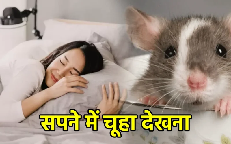 सपने में चूहा देखना