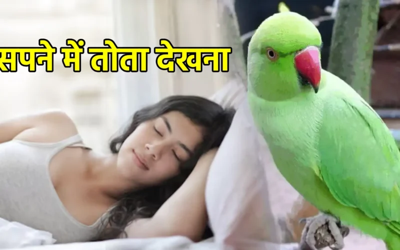 सपने में तोता देखना