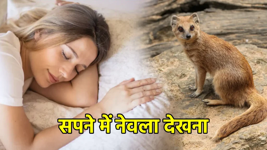 सपने में नेवला देखना
