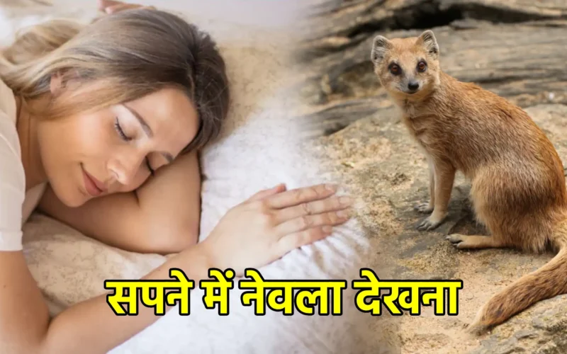 सपने में नेवला देखना