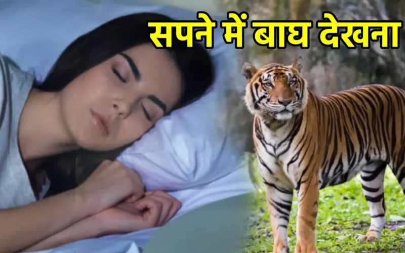सपने में बाघ देखना