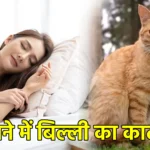 सपने में बिल्ली का काटना
