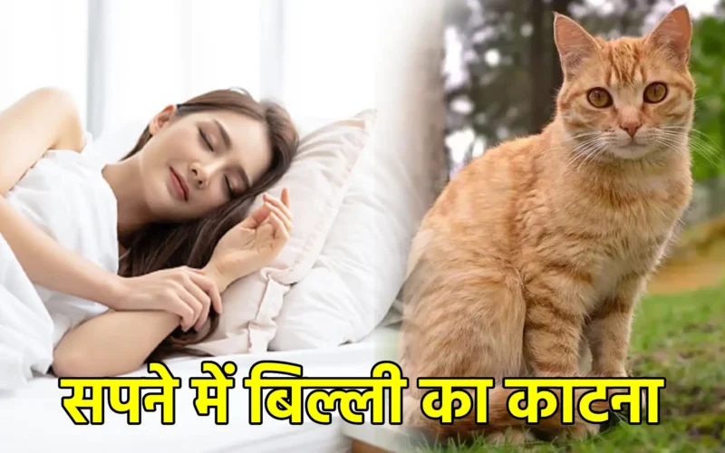 सपने में बिल्ली का काटना