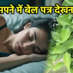 सपने में बेल पत्र देखना