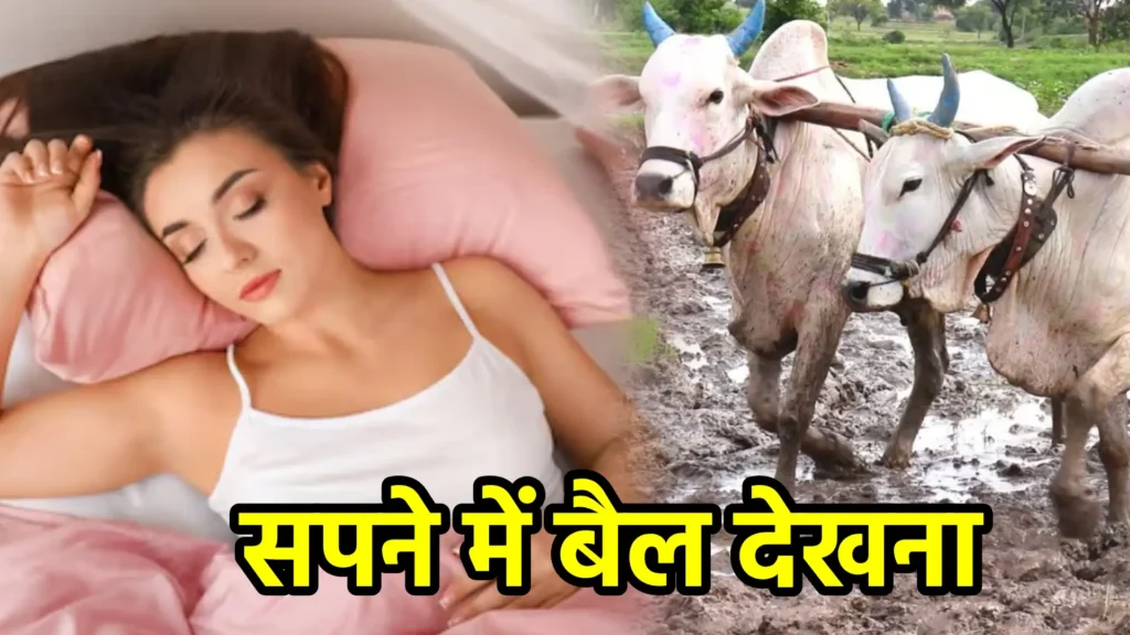 सपने में बैल देखना