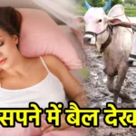 सपने में बैल देखना