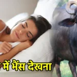 सपने में भैंस देखना