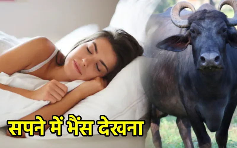 सपने में भैंस देखना