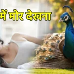 सपने में मोर देखना