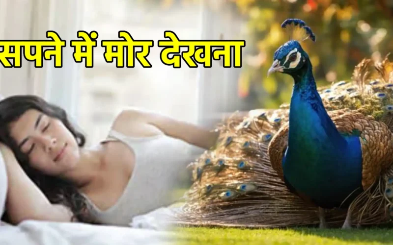 सपने में मोर देखना