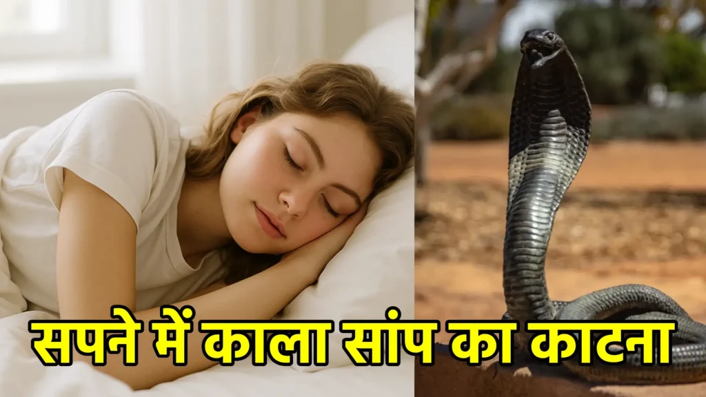सपने में काला सांप का काटना