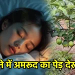 सपने में अमरूद का पेड़ देखना