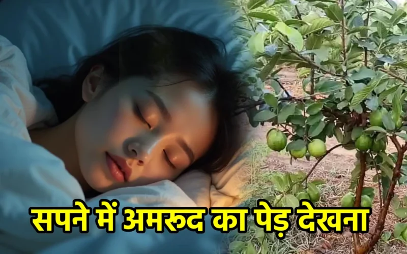 सपने में अमरूद का पेड़ देखना