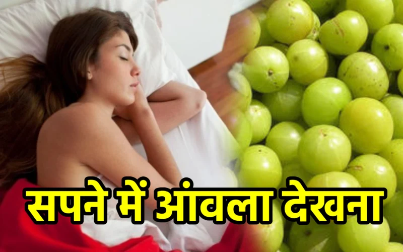 सपने में आंवला देखना : जानिए आरोग्यता, सात्विकता और आध्यात्मिक चेतना से जुड़ा यह पवित्र स्वप्न संकेत