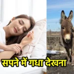 सपने में गधा देखना