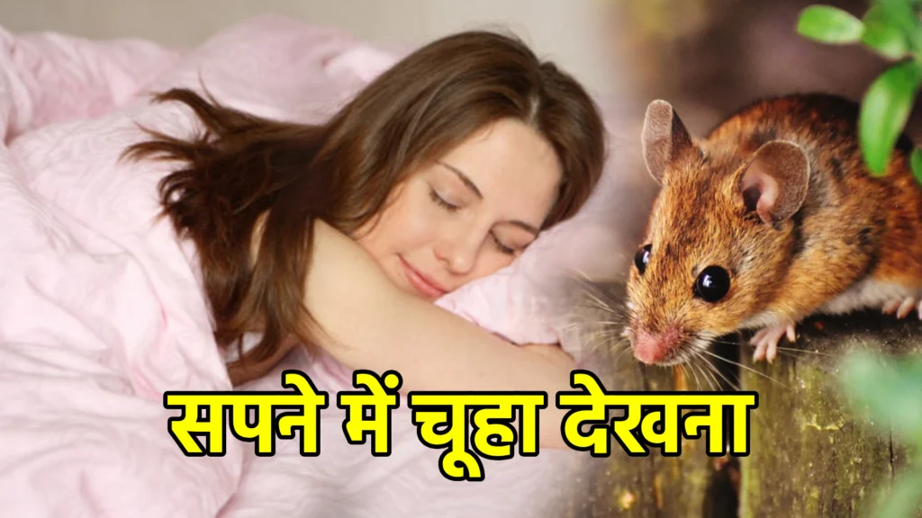 सपने में चूहा देखना
